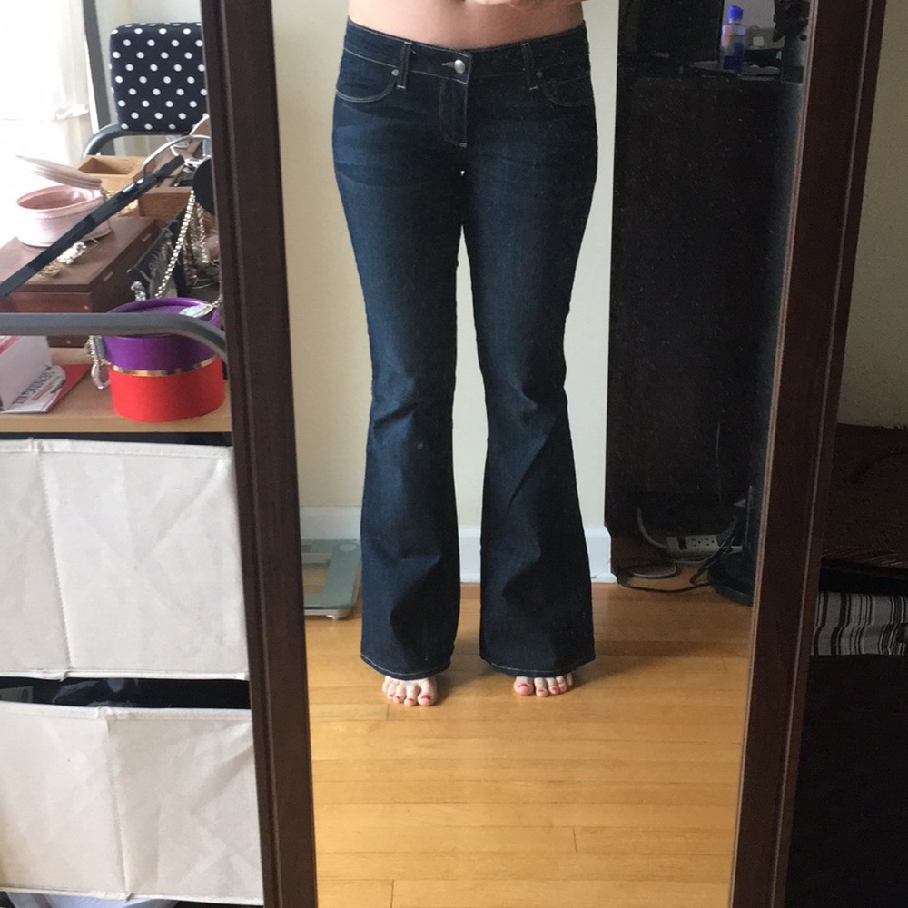 Paige Petite Canyon Flare